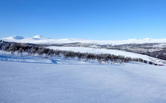 Skiën bij Bruksvallarna