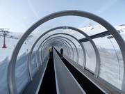 Alfombra Doble Dauro - Overdekt(e) transportband/Moving Carpet