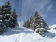 T-Rex T-Bar - Sleeplift met T-beugel/Ankerlift