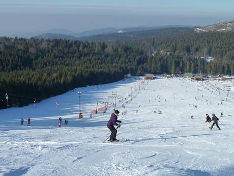 Skigebieden voor beginners in het district Rastatt – Beginners Mehliskopf