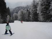 Bovenste deel van de piste