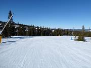 Gemakkelijke piste nr. 43