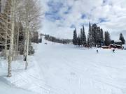 Beginnersgebied bij de Shoshone Lift