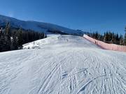 Uitzicht op de top Chopok