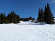 Gemakkelijke piste Seter