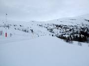 Gemakkelijke familielaan