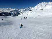 Fallbichlafdaling (rood)