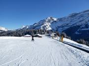 Oefenweide Les Mazots (Les Diablerets)