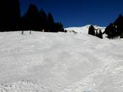 Dalafdaling Hasliberg-Reuti