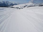 De glooiende weiden maken een goede pistepreparatie mogelijk.