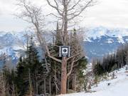 Alleen voor gevorderden!