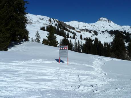 Bregenzer Woud: milieuvriendelijkheid van de skigebieden – Milieuvriendelijkheid Damüls Mellau