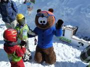 Mascotte Noah, de kleine bruine beer