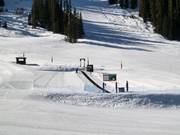 Beginnersgebied bij de transportband