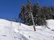 Kristberglift - Sleeplift met T-beugel/Ankerlift