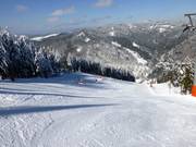 FIS-wereldbekerafdaling