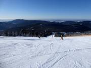 Piste Turistická Medvědín