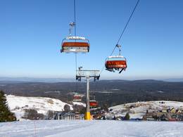 Winterpol Pomarańczowa (W3)