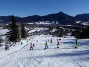 Skiles aan de Streidlhang