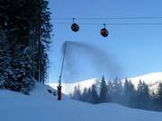 Lanzenbesneeuwing in Jasná