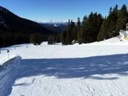 Gemakkelijke en brede piste Toler in Obereggen