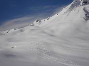 Diepsneeuwsporen in Täli