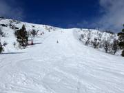 Zware afdaling Toppbranten