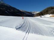 Langlaufloipe bij de Reschenpas