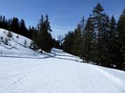 Makkelijke verbindingspiste van de Hornberg naar Schönried