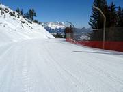 Streif-familieafdaling nr. 21