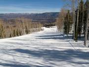 Afdaling Red's Rover