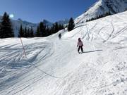 Flaxi's Ski Cross parcours