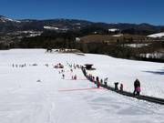 Lange transportband in het dal