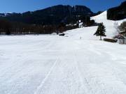 Piste bij de oefenlift Rasmusleiten