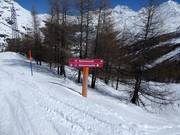 Pistebewegwijzering in het skigebied van Saas-Fee
