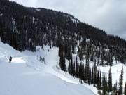 Afdalingen It´s a Ten en Blaster