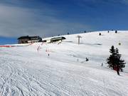 Boomvrije hellingen op de top van de Belchen