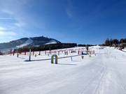 ArBär-Kinderland met uitzicht op de Arber