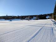 Brede en gemakkelijke piste in Zieleniec