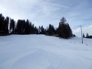 Uitzicht over het kleine skigebied bij de Barmseelift in Krün