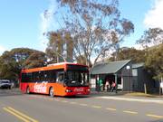 Een uitgebreid bussennetwerk brengt de gasten naar de pistes.