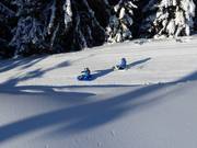 Tip voor de kleintjes  - Rodelbaan 'Bärenritt'