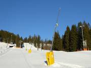 Sneeuwlansen bij de Lyrahang