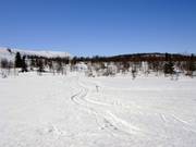 Oneindig langlaufaanbod