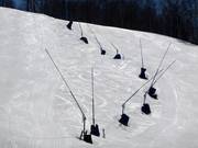 Lansbesneeuwing op de pistes