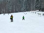 Gezinnen bij de sleeplift Muli 1