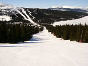 Makkelijke afdaling bij de sleeplift Blabaerfjell
