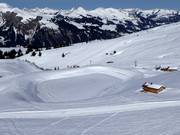 Opslagvijver tussen Metschstand en Hahnenmoos