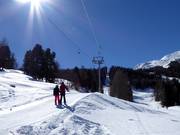 Ronalplift - Sleeplift met T-beugel/Ankerlift