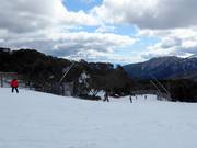 Gemakkelijke dalafdaling Wombats Ramble